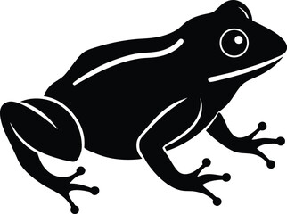 vector illustration of a frog