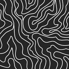 Lines form a hypnotic abstract topographic pattern in black and white, creating a sense of depth, movement, and modern minimalism.