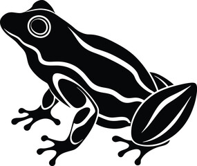 vector illustration of a frog