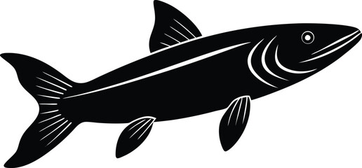 vector illustration of a fish