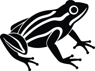 vector illustration of a frog