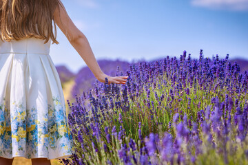 Rear view of a girl in a white dress touching the beautiful lavender blossoms on a field during...