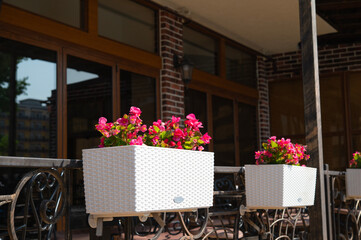 Flowerpots on a fence. Street cafe decor	
