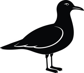 vector illustration of a bird