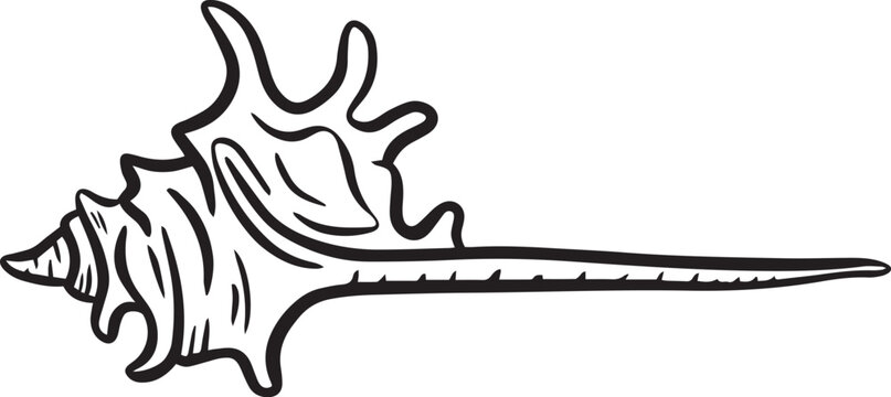 Hand drawn clipart illustration of seashell shell mollusc seaside shellfish 