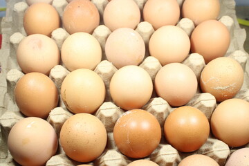fresh brown chicken eggs neatly arranged in a full cardboard carton ready for grocery cooking