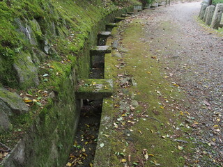 苔むした石壁と秋の小道
