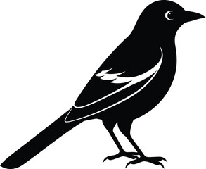 vector illustration of a bird