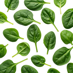 Nutrient rich spinach isolated on transparent background with fresh green leaves and natural texture
