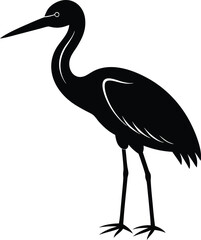 heron in the morning