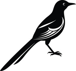 vector illustration of a bird