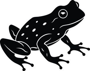 vector illustration of a frog