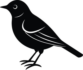 vector illustration of a bird
