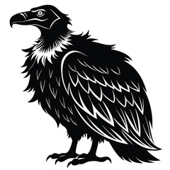 Obraz premium Black and white stylized vulture illustration