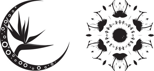 Fototapeta premium Mystical Witchy Celestial Vector Pack
