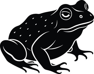vector illustration of a frog