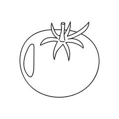 Fresh tomato illustration showcasing its vibrant shape and natural features in simple line art style