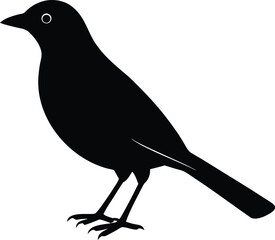 vector illustration of a bird