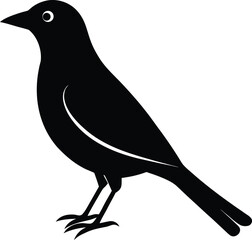 vector illustration of a bird