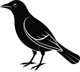vector illustration of a bird