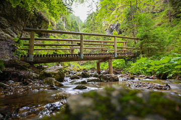 Scenic view of a wooden bridge over a clear stream, surrounded by lush vegetation in a tranquil...