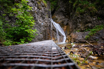 Ladder and pathway lead to a waterfall in a lush forest setting