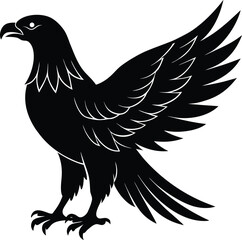 eagle vector illustration