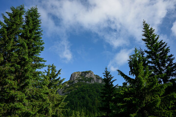 Scenic view of a rocky mountain peak rising above a dense evergreen forest, under a partially...