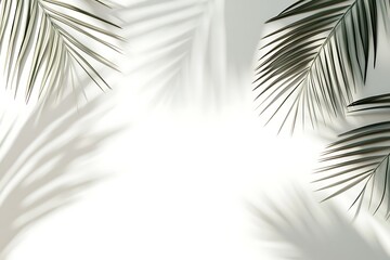 Obraz premium Minimalist palm leaf shadow overlay on white background providing a clean and airy feel