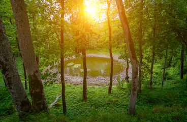 Scenic meteorite crater lake Kaali surrounded by forested terrain.