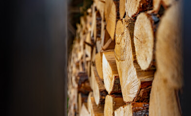 Stack of neatly chopped firewood in a wooden shed.
