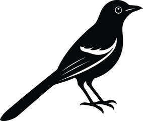 vector illustration of a bird