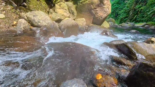 A stream glides under patchy vegetation and forest twigs scattered across uneven terrain. Silent footage.
