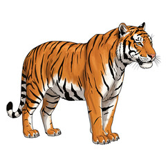 Obraz premium Striking Tiger Illustration: A bold and vivid illustration of a majestic tiger, showcasing its iconic orange and black stripes, capturing the strength and beauty of this magnificent animal.