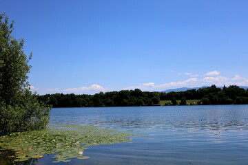 Badesee in Freiburg-Opfingen im Sommer