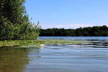 Badesee in Freiburg-Opfingen im Sommer