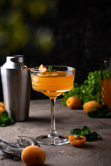 Fresh apricot Bellini cocktail with mint