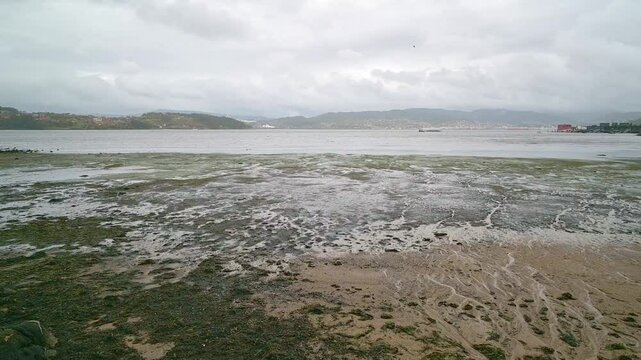 Combarro galicia coastline showing low tide and cloudy sky and a little bird flying