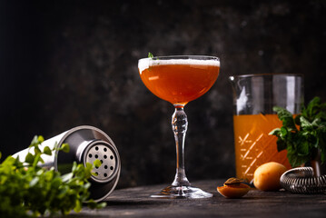 Fresh apricot cocktail martini with mint