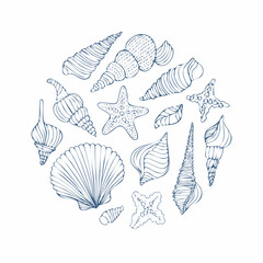 Set of hand drawn sea shells, conch, tentacle, starfish, corals. Outline marine drawings. Sketch silhouettes of seashore elements. Vector illustration