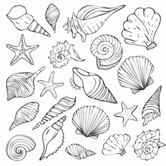 Set of hand drawn sea shells, conch, tentacle, starfish, corals. Outline marine drawings. Sketch silhouettes of seashore elements. Vector illustration