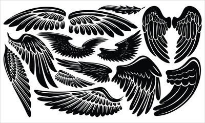 Black feathered wings and single feather angel wings
