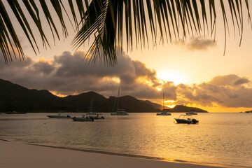 Palm tree and sailing boats at sunset in Praslin island, Seychelles