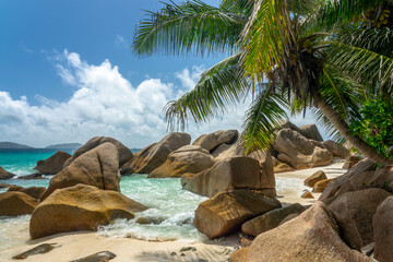 Granite rocks and palm trees on the scenic tropical sandy Anse Patates beach, La Digue island, Seychelles