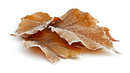 Frosty autumn leaves spread across a white background creating a seasonal aesthetic