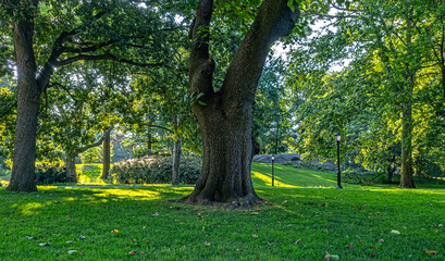 Central Park summer