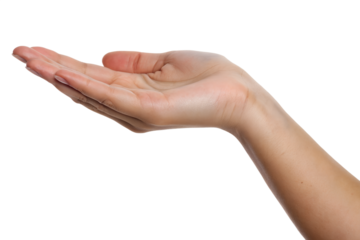 Open female hand with palm up, isolated on white background.