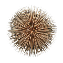 Radiant Starburst with Elegant Textures and Gleaming Highlights in a Stunning Design for Creative Projects