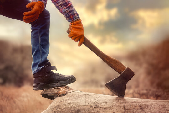 Lumberjack Wearing Orange Gloves And Plaid Shirt, Cutting Wood With Axe On A Log, Outdoors At Sunset.