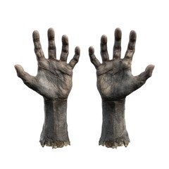 Realistic and Detailed Human Hands with Visible Skin Texture and Unique Age Signs, Perfect for Artistic or Educational Purposes